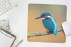MuchoWow® Mauspad Mousepad Vogel - Eisvogel - Tiere - Zweig Produktbild-Vorschau 5