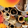 BEESI Lehmpulver für Wildbienen I Baumaterial, Füllmaterial Produktbild-Vorschau 10