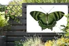 MuchoWow® Produktbild-Vorschau 5