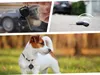 Localizzatore GPS Motus Find Me iOS Nero Anteprima dell’immagine prodotto 4