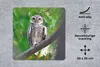 MuchoWow® Mauspad Mousepad Eule auf Ast sitzend 20x20 cm - Produktbild-Vorschau 2