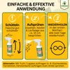 Wespen Abwehrspray Power-Konzentrat 500 ml – Pflanzliches Produktbild-Vorschau 3