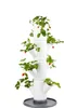 Artikelbild 1 von 'SISSI STRAWBERRY Erdbeerturm starter weiß (4 Etagen)' Náhled obrázku produktu
