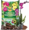 Zemný substrát pre orchidey 5 litrov Eco-Earth Náhľad obrázku produktu 1