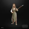 Hasbro - Star Wars Return Of The Jedi The Black Series Náhled obrázku produktu 15
