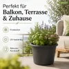 Doniczka Fiona antracyt Ø 30 cm - mrozoodporna i odporna na Podgląd zdjęcia produktu 2