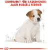 Royal Canin Jack Russell Junior, Welpe, Jack Russell Produktbild-Vorschau 3
