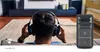 Nedis Bluetooth-Empfänger - Audio- / Video- / Produktbild-Vorschau 4