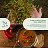 Chili Samen 5er Set - Chili Saatgut aus biologischem Anbau Produktbild-Vorschau 6