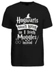 V Bradavicích mě nenajali, tak místo toho učím mudly Harry Náhled obrázku produktu 2