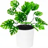 MALWA DŁUTO 190 pot de fleurs - blanc LA721-05 LAMELA Voir les images du produit 15