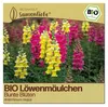 Samenliebe  Löwenmäulchen Samen | Bunte Blüten - Produktbild-Vorschau 1