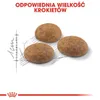 Royal Canin Outdoor 400 g Produktbild-Vorschau 7