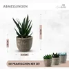 Künstliche Pflanzen Mini 4er Set Dekoration Kunstpflanzen Produktbild-Vorschau 2