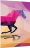 Bilder auf glas - Einteilig - Pferd Tiere Geometrie Diamant Produktbild-Vorschau 1