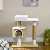 PawHut, tiragraffi per gatti, 79 cm. Piccolo tiragraffi con Anteprima dell’immagine prodotto 7