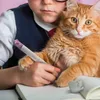 Legami Gomme - Meow Kitty Voir les images du produit 4