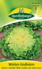Winter-Endivien Gialla a cuore pieno Produktbild-Vorschau 1
