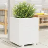 Pflanzkübel Weiß 40x40x49,5 cm Massivholz Kiefer Produktbild-Vorschau 2