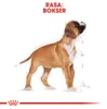 Royal Canin Boxer Junior, Welpe, Boxer, Groß (26-44 kg), Produktbild-Vorschau 4