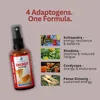 Adaptogénny Sprej Energia | Cordyceps, Ženšen, Rozchodnica Náhľad obrázku produktu 4