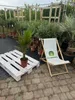 Spindelpalme Hyophorbe verschaffeltii 80-120 cm Produktbild-Vorschau 6