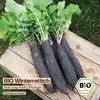 Samenliebe  Rettich Samen | Noir Long Poids D'Horloge - Produktbild-Vorschau 4