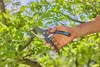Gardena Premiumcut Pro Gartenschere Silber  Silber One Size Produktbild-Vorschau 9