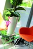 A modern living room setting with chairs, a glass table, and a potted plant with a pink flower. Anteprima dell’immagine prodotto