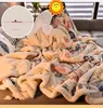 360Home 2in1 Decke&Bettbezug  Doppelt verdickte kuschelig Produktbild-Vorschau 9