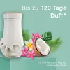 Glade Electric Scented Oil Nachfüller Exotic Tropical Produktbild-Vorschau 2