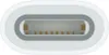 Apple USB-C -> Apple Pencil Adapter Náhľad obrázku produktu 11
