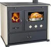 A kitchen stove with a turkey roasting in the oven and a fire burning in a separate compartment. Produktbild-Vorschau
