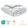 sleepling Komfort 120 Ganzjahresdecke Mikrofaser Mono Produktbild-Vorschau 17