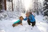 Ruffwear Hundejacke Cloud Chaser™ Soft Shell Jacket Aurora Produktbild-Vorschau 9