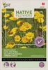 Färberkamille | Kamillesamen von Buzzy Seeds Produktbild-Vorschau 3