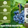 GreenPanda Heidelbeer- & Blaubeerdünger - Verbessert Ernte Produktbild-Vorschau 3