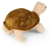 Peluche Tartaruga Agatha 25 Cm Eco-friendly Anteprima dell’immagine prodotto 5