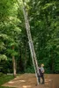 A man in a yellow hard hat and work clothes is standing on a wooden deck, holding onto a very tall, extended ladder that reaches high into a tree. Náhľad obrázku produktu