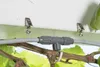 Gardena city gardening Outdoor Sprühnebel Set automatic Produktbild-Vorschau 10