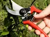 A hand holding red pruning shears, about to cut a green plant. Podgląd zdjęcia produktu