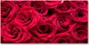 Tulup Glas-Bild -140x70- Wandkunst Dekorative Wand für Produktbild-Vorschau 1