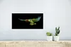 MuchoWow® Poster Papagei - Vogel - Federn 40x20 cm Produktbild-Vorschau 5