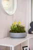 Vaso decorativo ESCADA LOW in fibra di vetro, grigio Anteprima dell’immagine prodotto 3