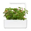 Click and Grow dzikie truskawki, kapsułki z nasionami i Podgląd zdjęcia produktu 2