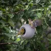 Singing Friend Vogelfutterhalter Lisa grau Produktbild-Vorschau 2
