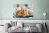 MuchoWow® Poster Katze - Kleidung - Schrank 120x80 cm - Produktbild-Vorschau 5