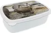 MuchoWow® Obedník Brotzeit Box na obed 11x17x6cm Vydra - Náhľad obrázku produktu 1