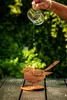 Abreuvoir À Oiseaux De Jardin Avec Colibri Rustique En Voir les images du produit 7