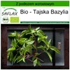SAFLAX - Bio - Tajska Bazylia - 250 Nasiona - Z podłożem Podgląd zdjęcia produktu 10